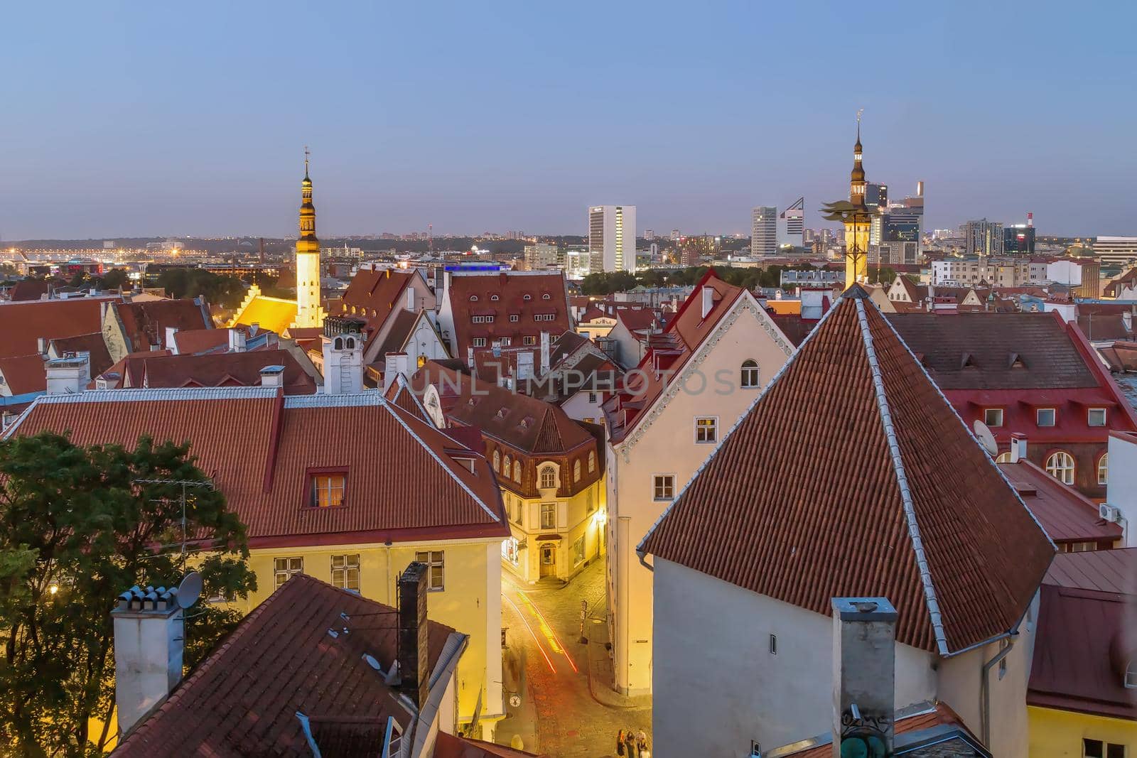 View of Tallinn, Estonia by borisb17