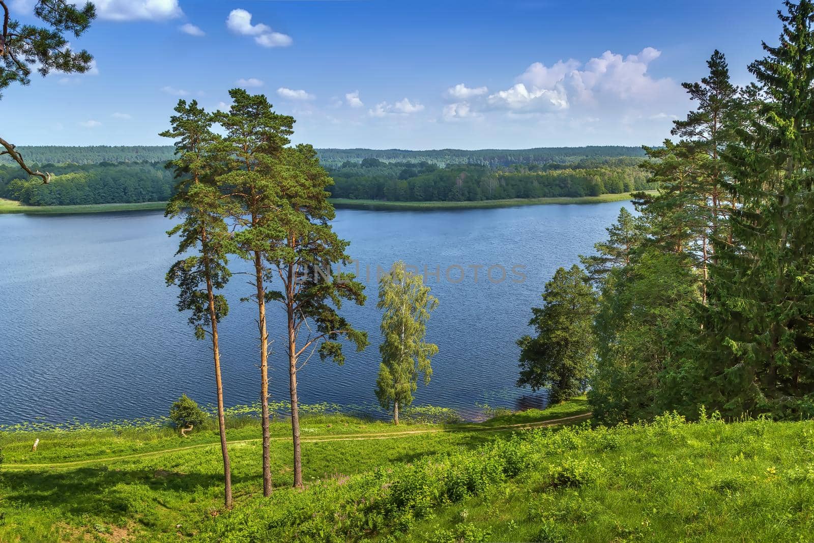 View of Linkmenas lake from Ladakalnis hill in Aukstaitija National Park, Lithuania