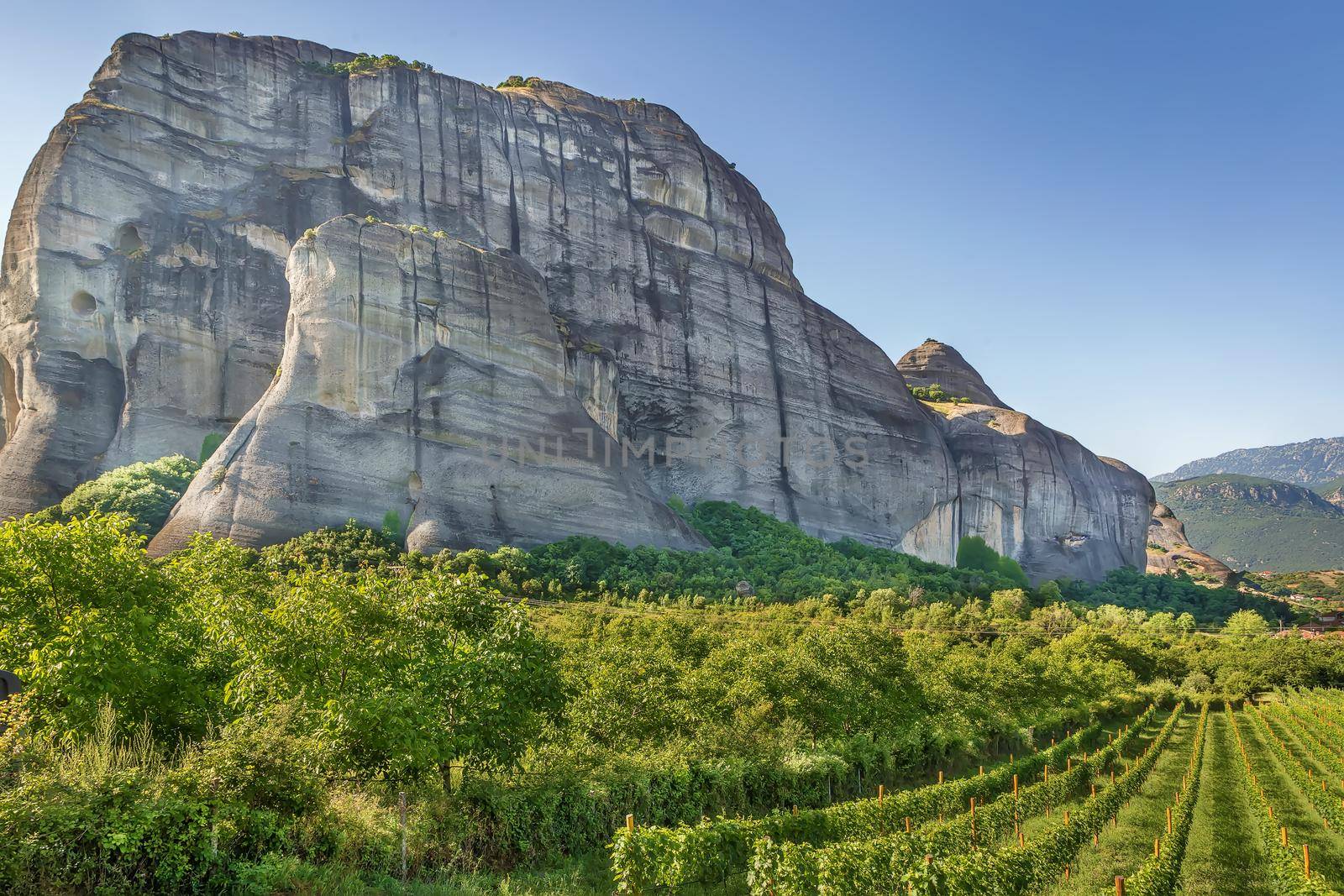 View of the vineyard and mountains in Meteora, Greece