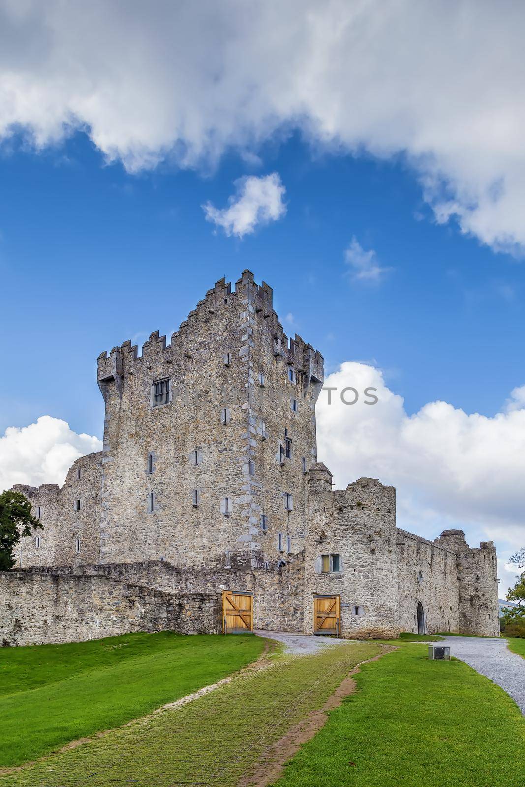 Ross Castle, Ireland by borisb17