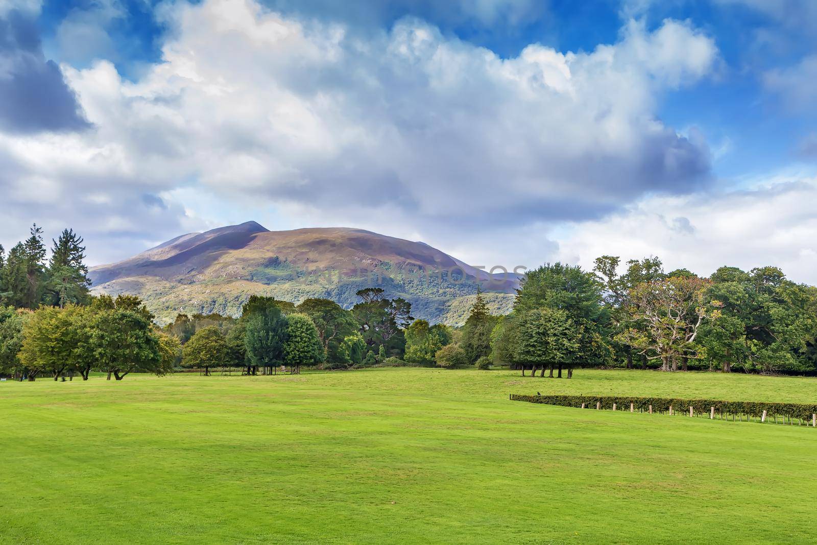 Landscape with Mangerton Mountain, in Killarney National Park, Ireland