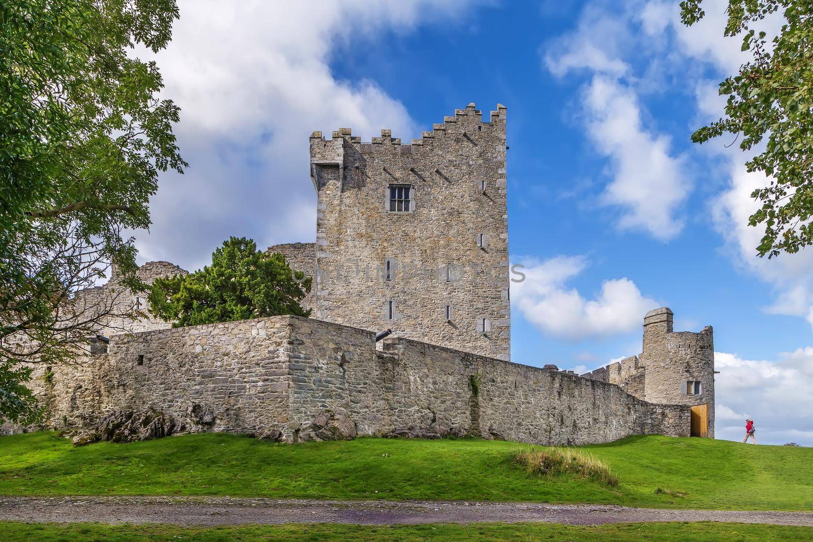 Ross Castle, Ireland by borisb17