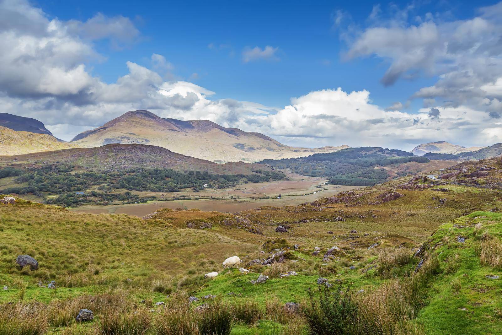 Mountain Landscape in Ring of Kerry, Ireland