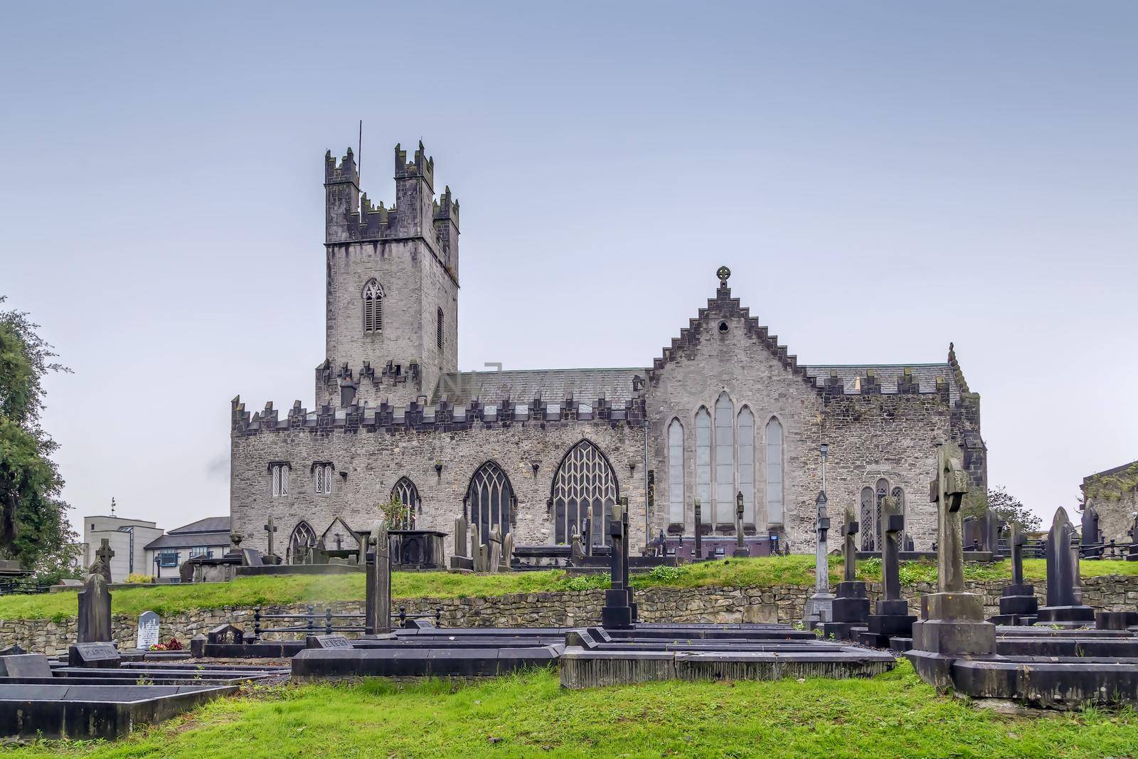 St Mary's Cathedral, Limerick, Ireland by borisb17
