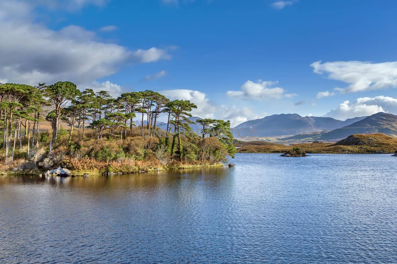 Landscape with lake from Pines Island Viewpoint in Galway county, Ireland