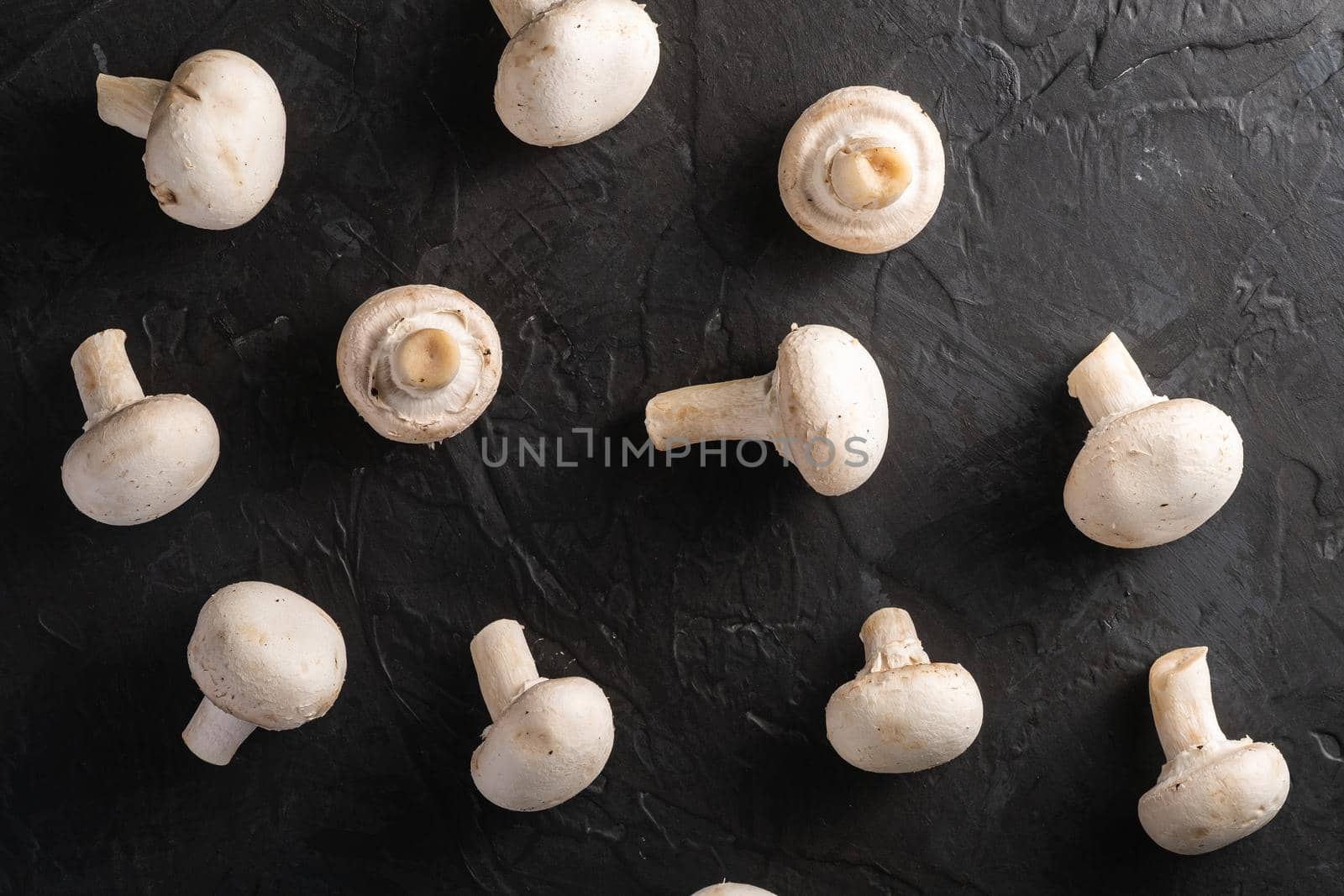 Champignon mushrooms healthy food on dark black textured background, top view