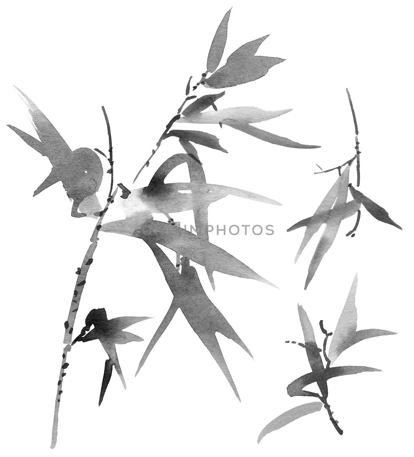 Watercolor illustration of bamboo leaves on white background. Oriental traditional painting, sumi-e.