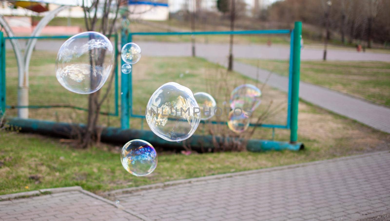 A girl blows soap bubbles in the park for the entertainment of children. Large, colorful soap bubbles in the open air in a public park.