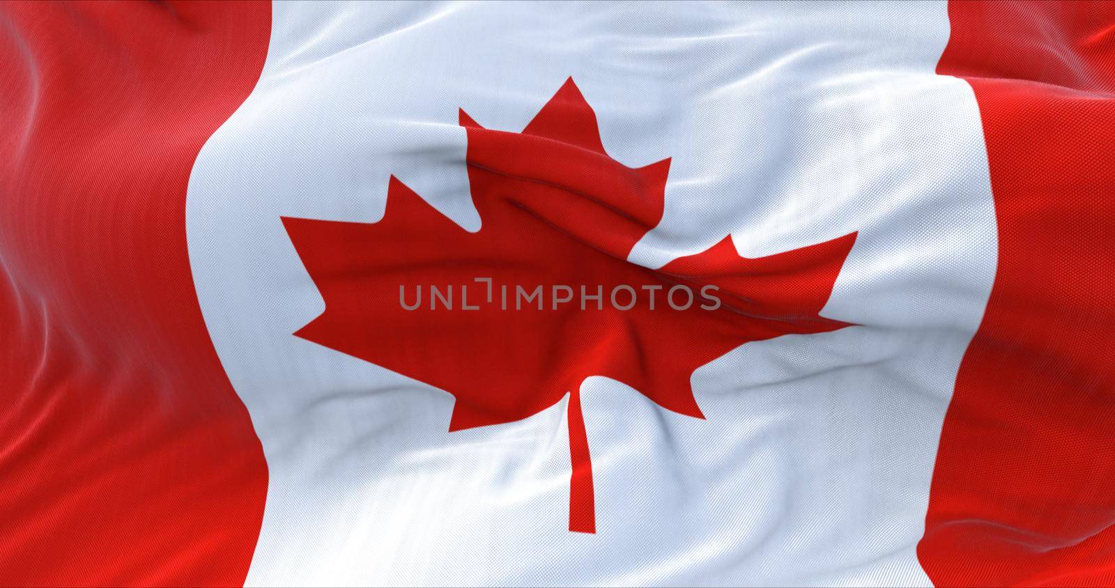 Detail of the National Flag of Canada waving in the wind. Red maple leaf charged in the centre. Democracy and politics. North American state
