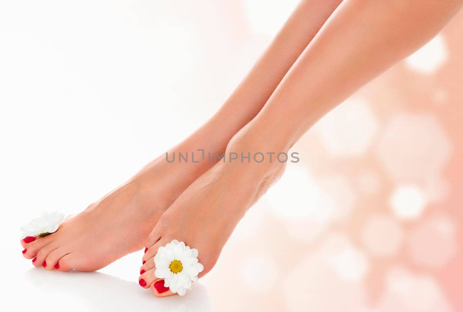 Beautiful female legs with daisy flower on an abstract blurred background. by Nobilior