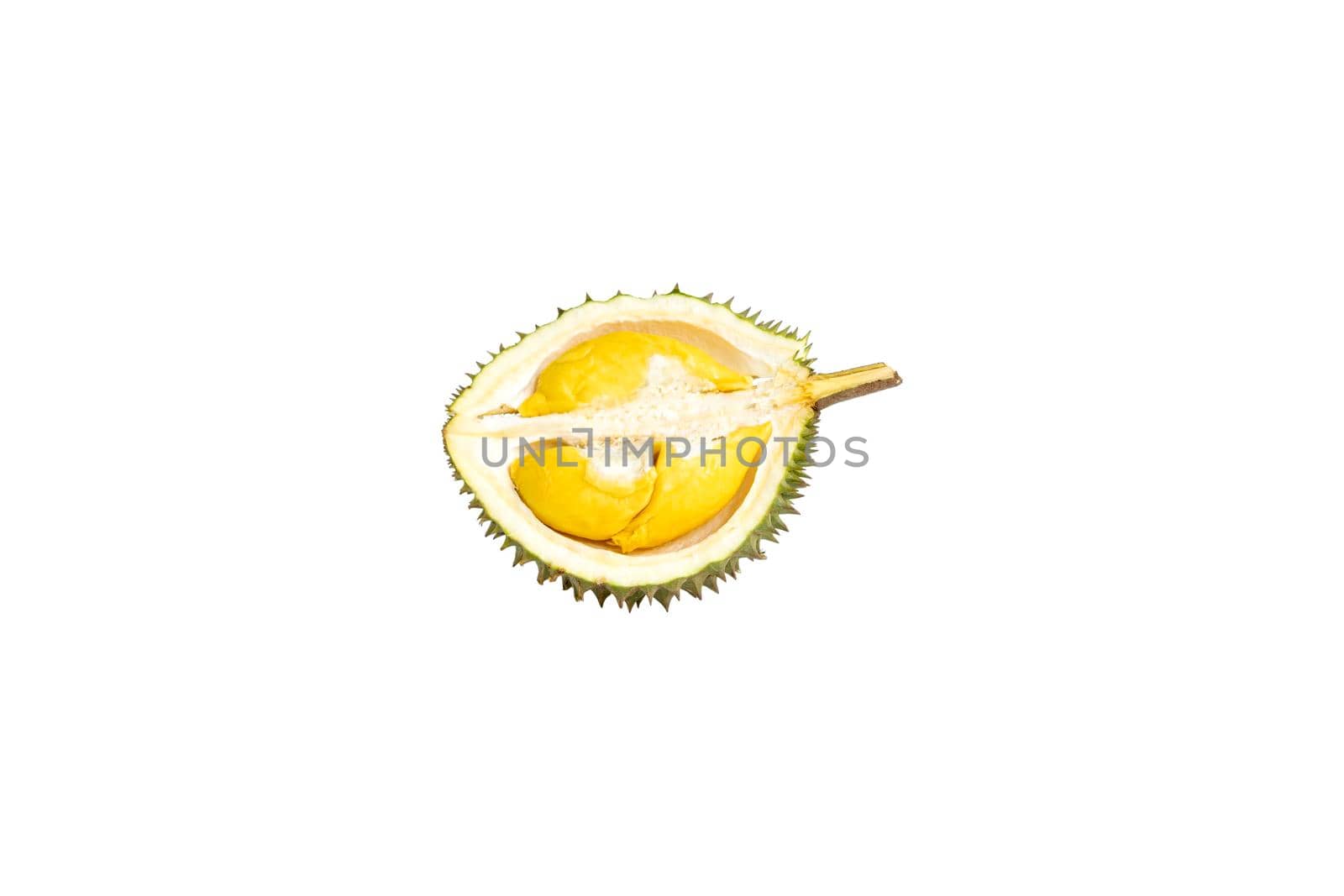 Ripe durian cut in half is ready to eat isolated on white background