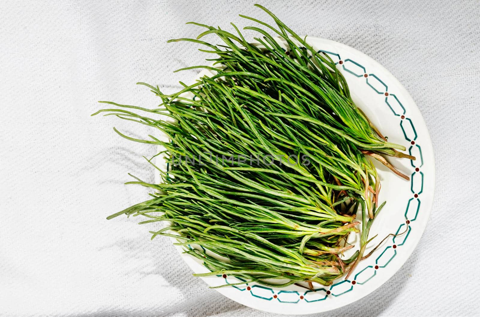 Bunch of agretti -salsola soda or opposite -leaved saltwort -on white plate ,fresh uncooked green leaves