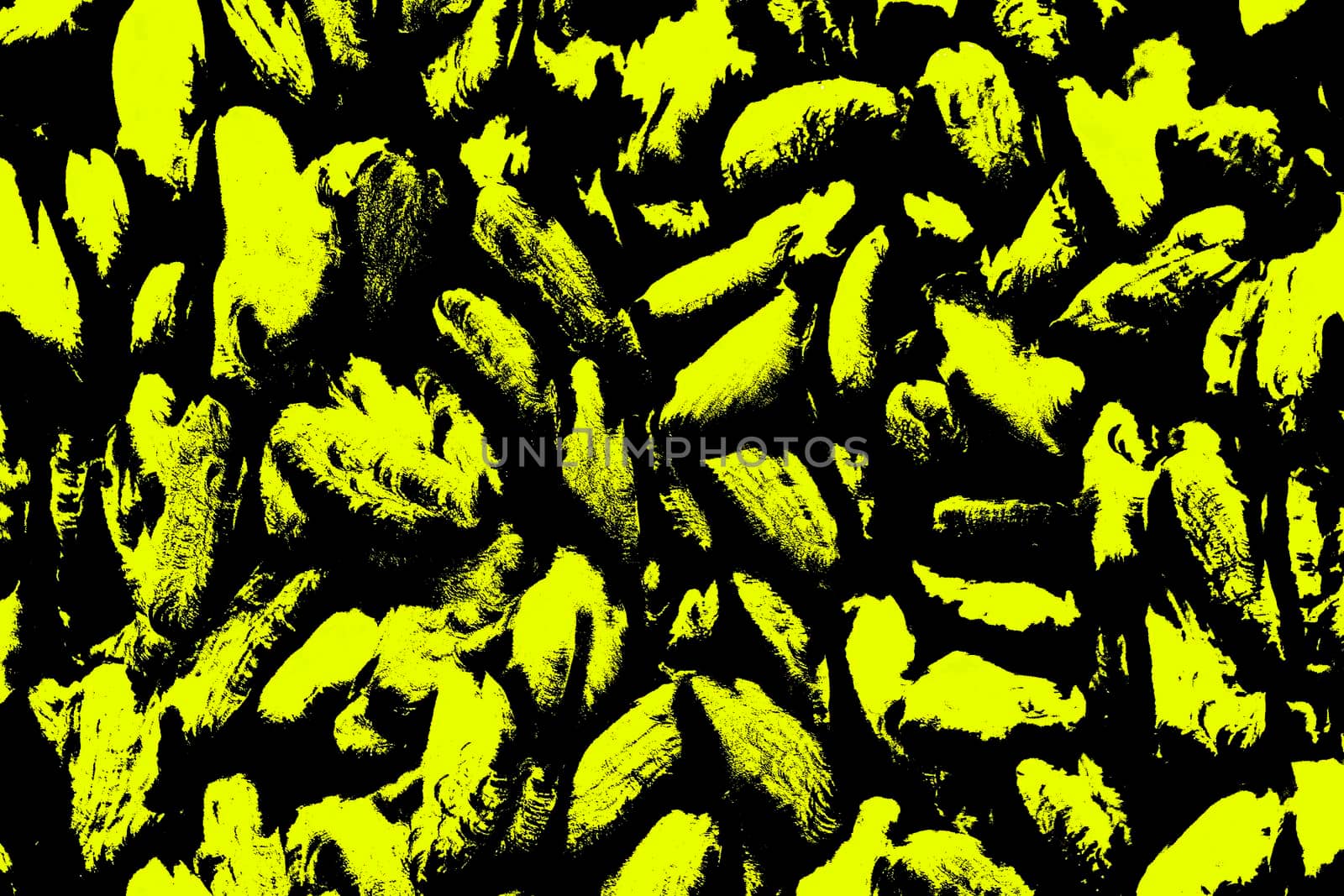 Yellow black abstract background. Illustration for design. Copy space. by Essffes