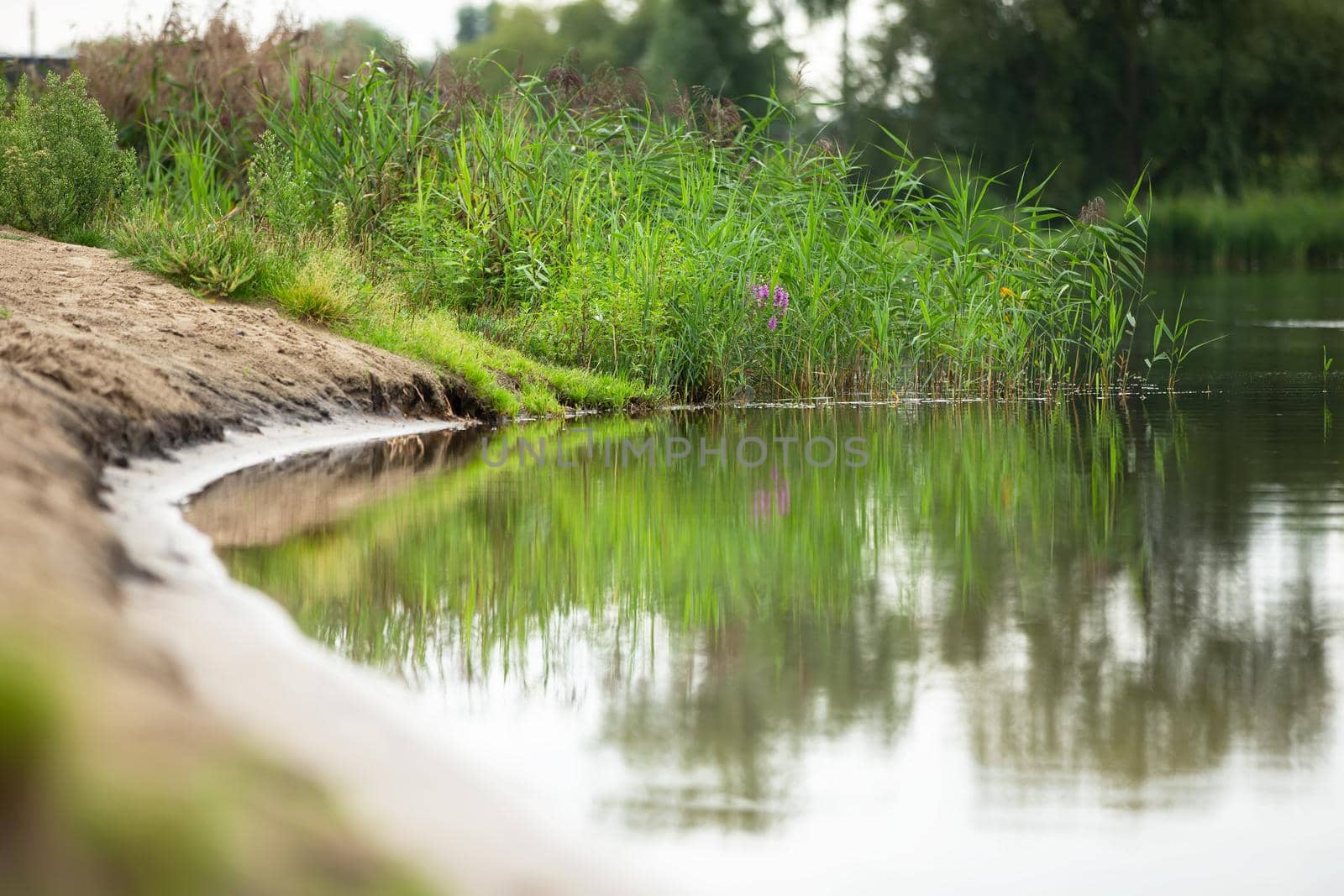 Beautiful background with a lake and grass.