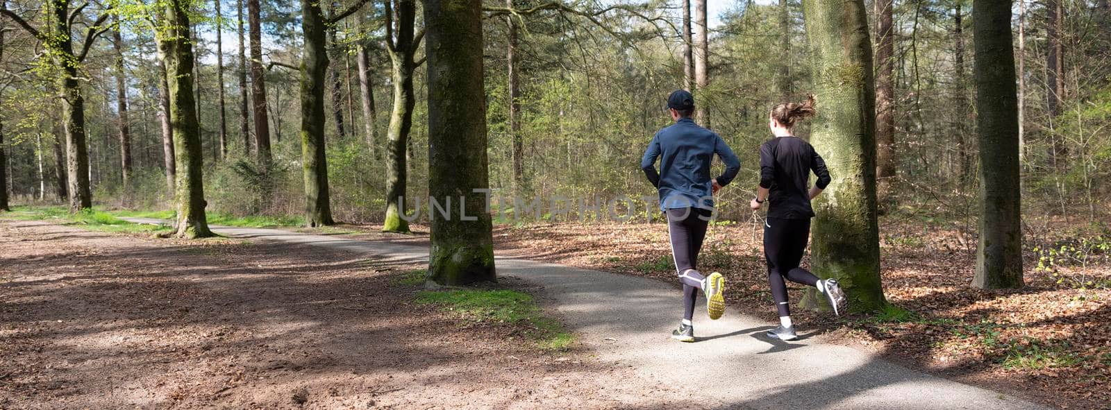 couple jogging in spring forest near utrecht in the netherlands on sunny morning