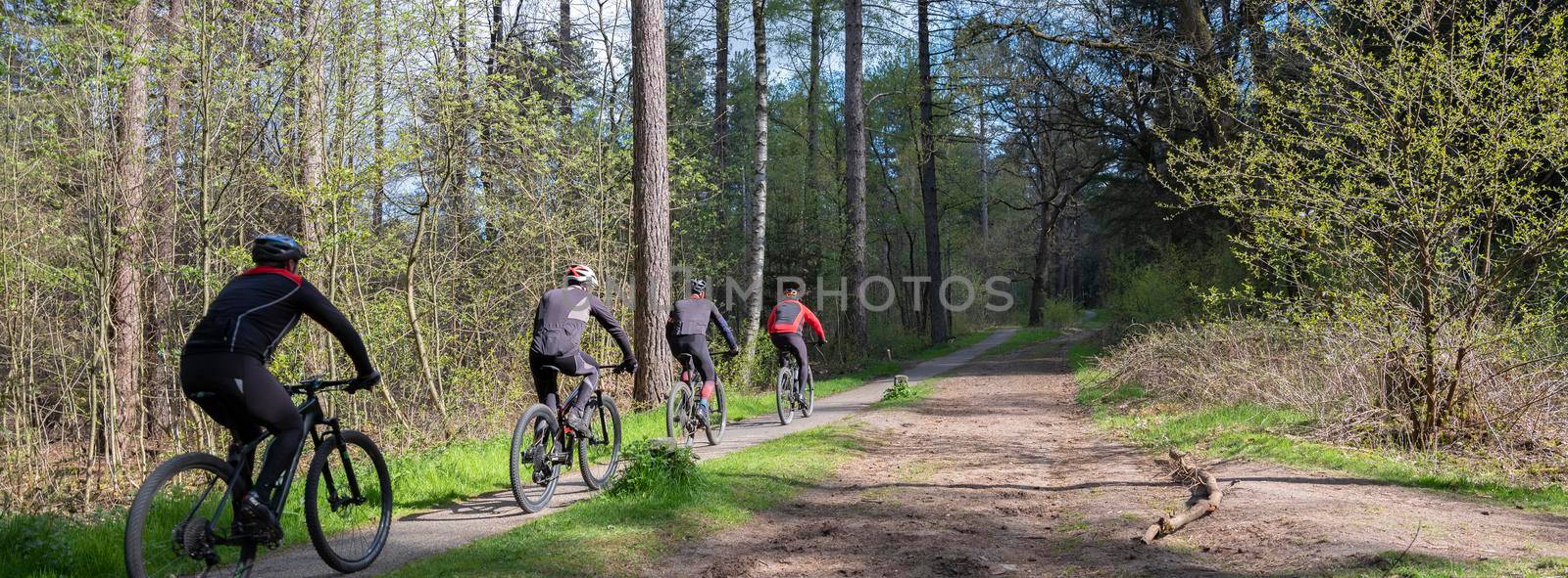 men exercise on mountain bike in spring forest near utrecht on sunny morning in holland by ahavelaar