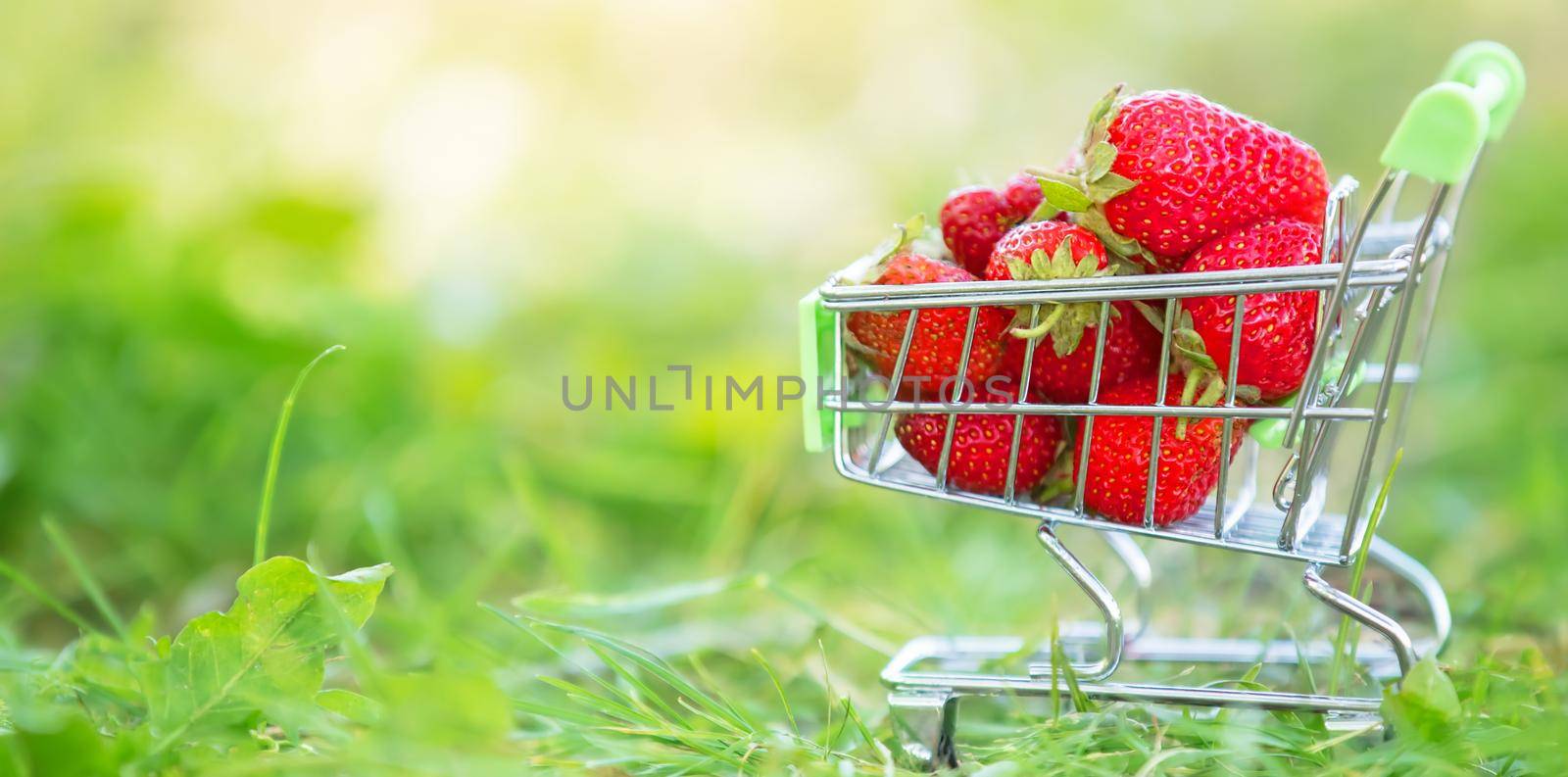 Cart with a supermarket with strawberries on the green grass. Banner beautiful summer berries. by Sviatlana