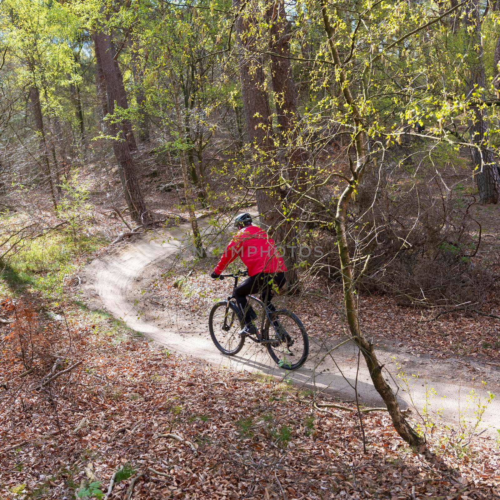 man exercises on mountain bike in spring forest near utrecht in holland by ahavelaar