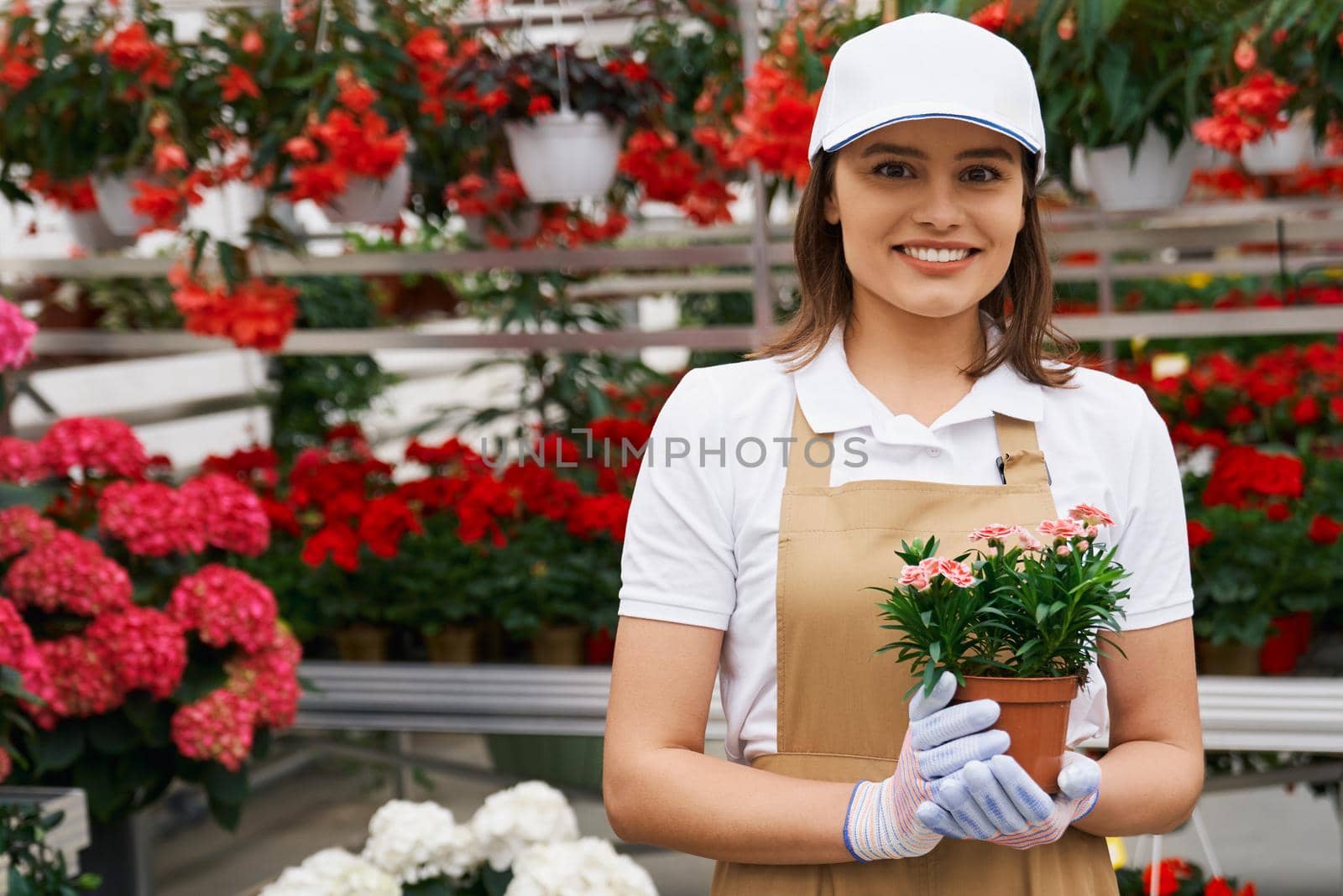 Beautiful young woman holding cute flowerpot in greenhouse. by SerhiiBobyk