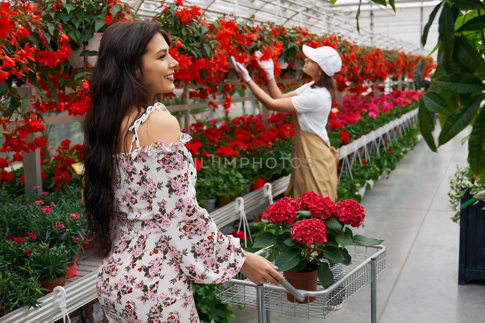  Brunette woman and young worker choosing flowers.  by SerhiiBobyk