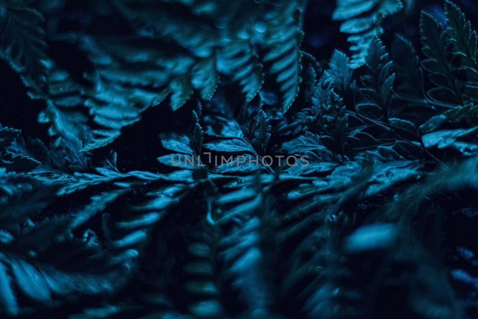 Blue plant leaves at night as surreal botanical background, minimal design by Anneleven