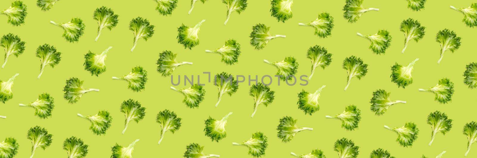 pop art background from lettuce green leaves salad. frillice salad isolated on green. iceberg salad leaf close up, modern background, flat lay. lettuce green leaf pattern