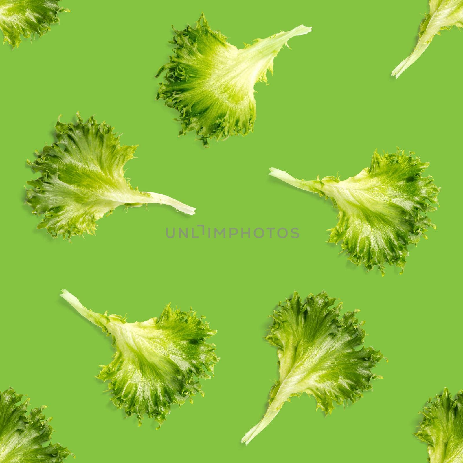 seamless pattern from lettuce green leaves salad. frillice salad isolated on green. iceberg salad leaf flat lay by PhotoTime