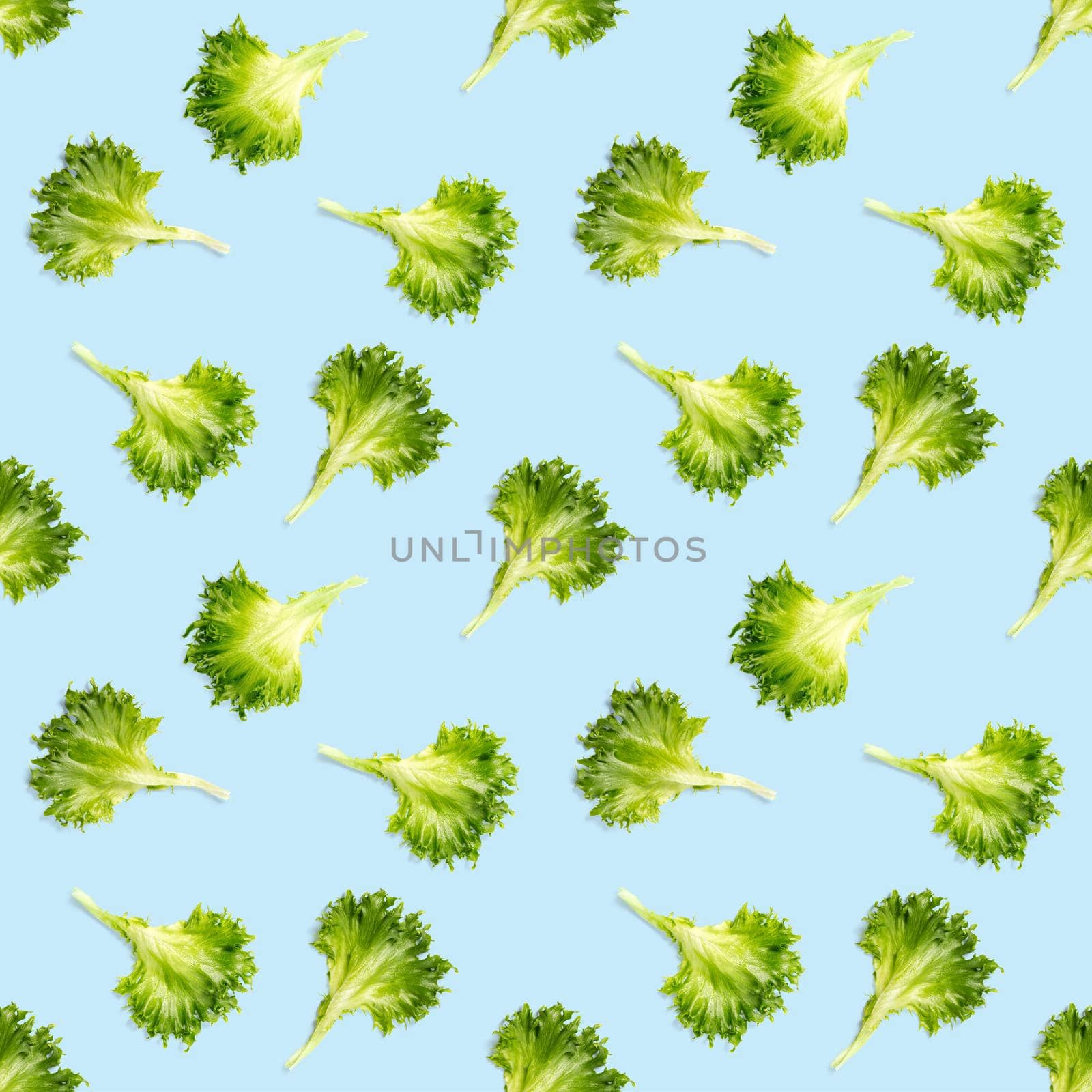 seamless pattern from lettuce green leaves salad. frillice salad isolated on blue. iceberg salad leaf close up, modern background, flat lay. lettuce green leaf pattern