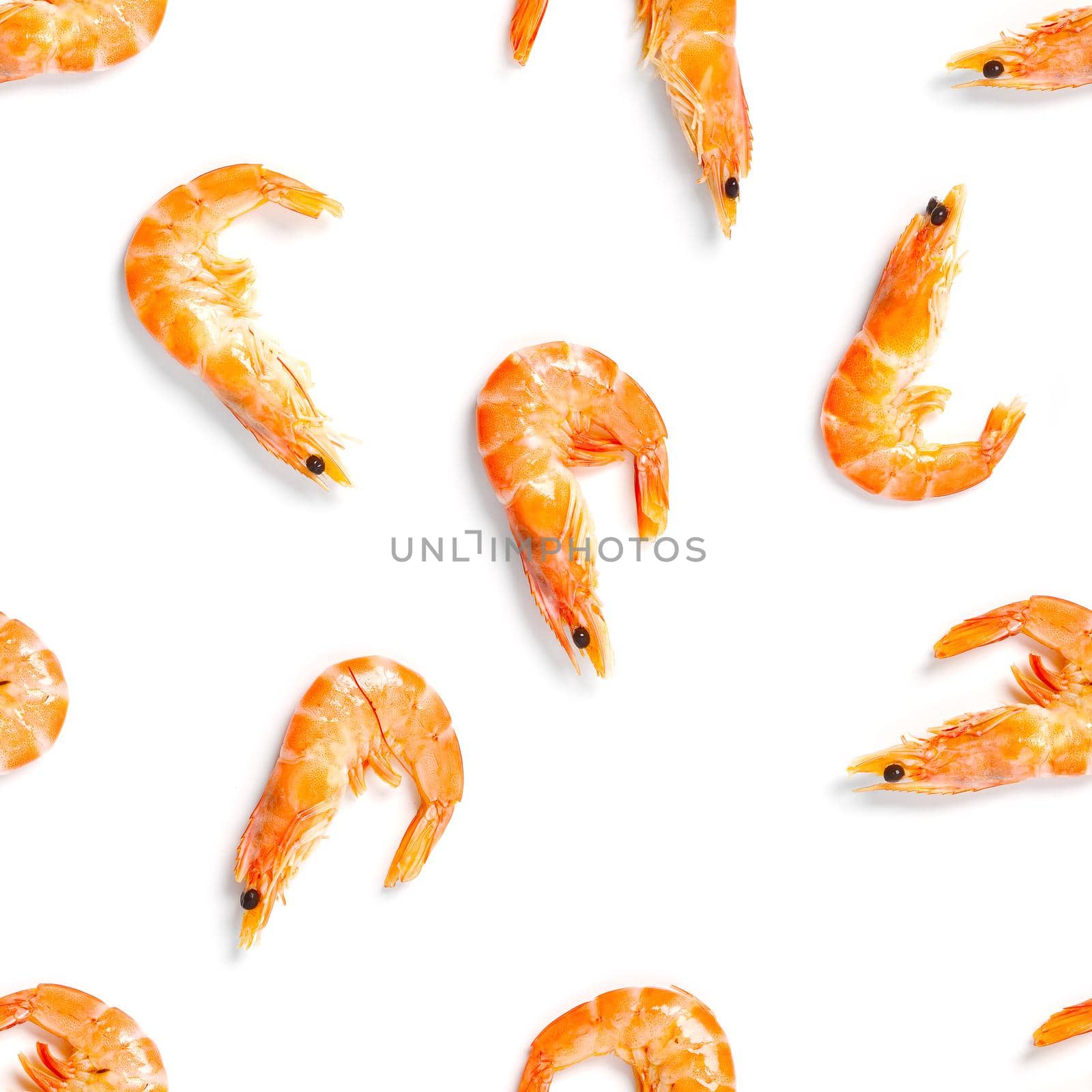 Tiger shrimp. Seamless pattern made from Prawn isolated on a white background. Seafood seamless pattern with shrimps. seafood pattern by PhotoTime