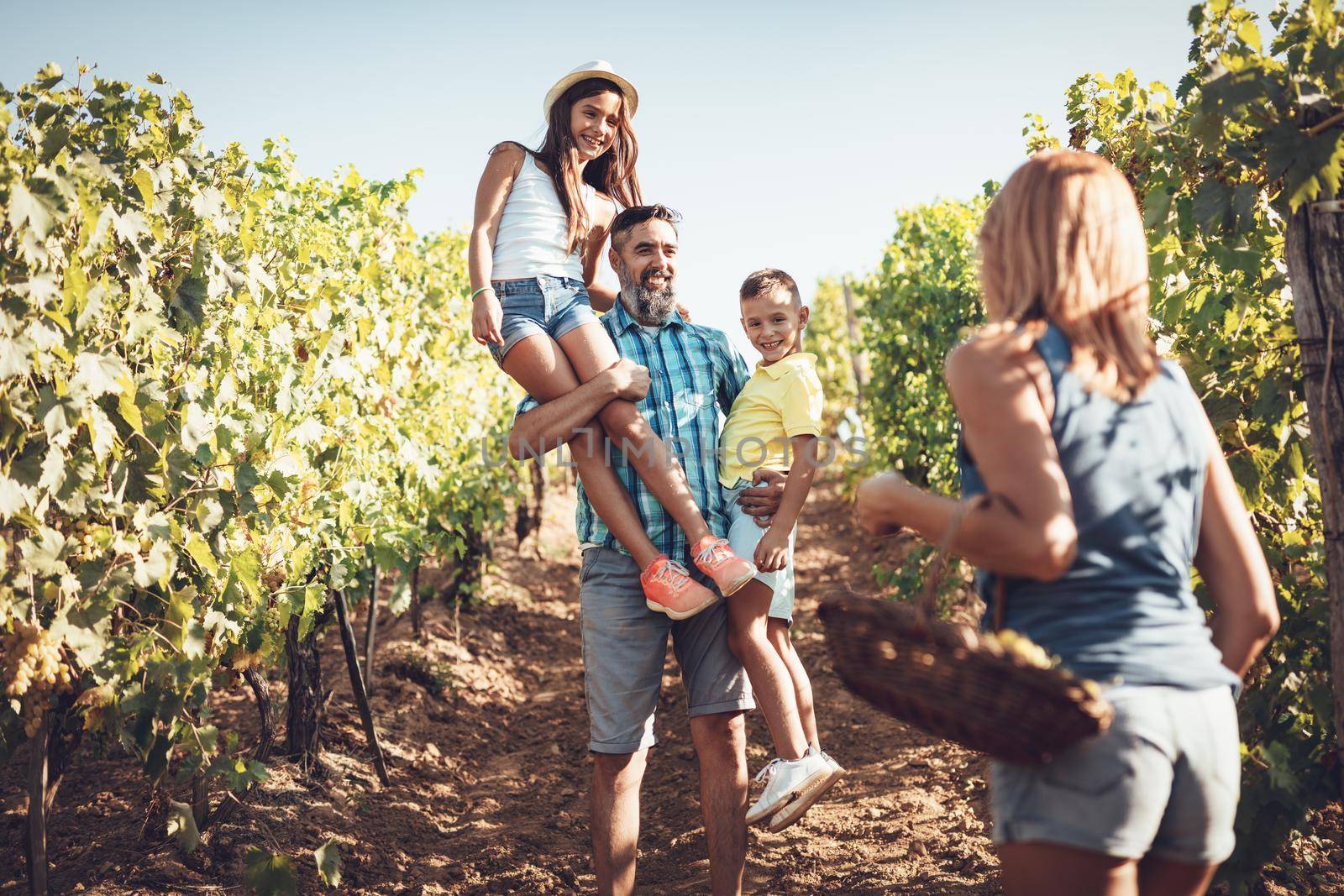 Beautiful young smiling family of four having fun at a vineyard.