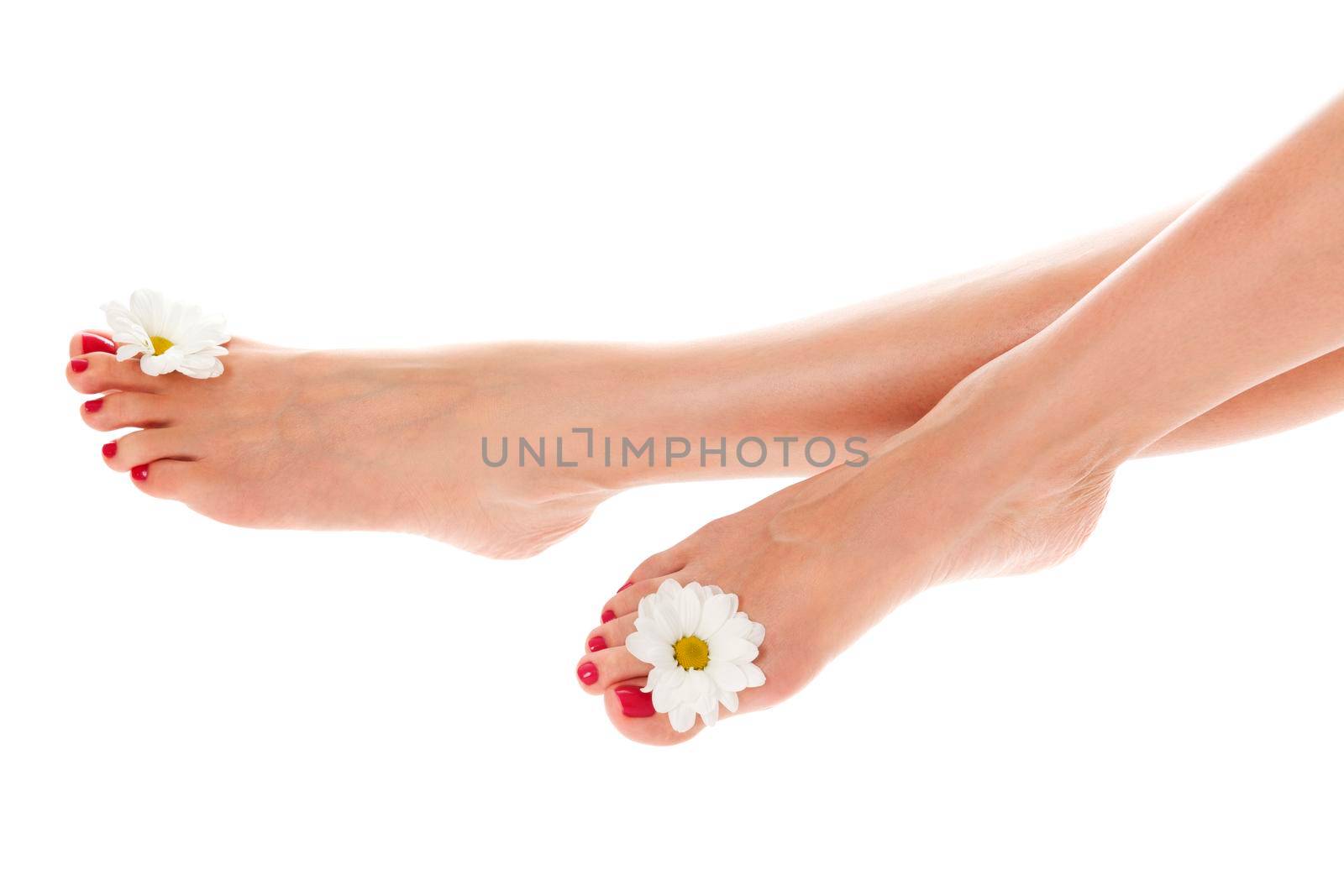 Beautiful female legs with daisy flower isolated on white background by Nobilior