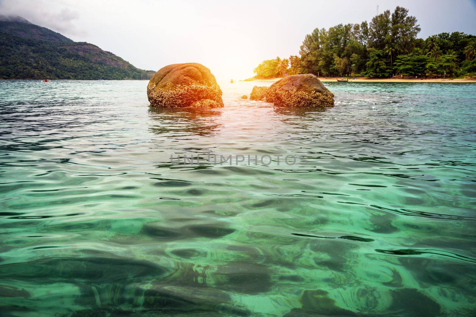 Beautiful nature landscape colorful the sunlight at the sunrise in summer over the clear sea, see the coral reef, beach, tree, resort at North Point Beach, Koh Lipe island, Tarutao, Satun, Thailand