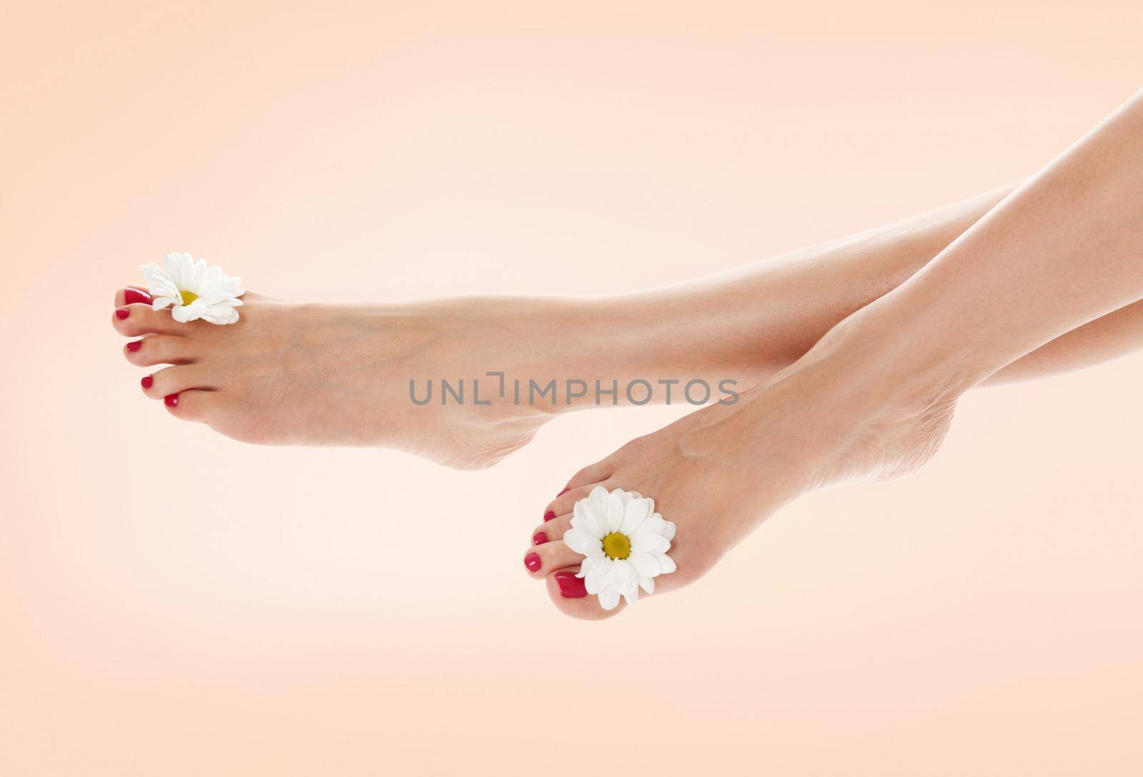 Beautiful female legs with daisy flower