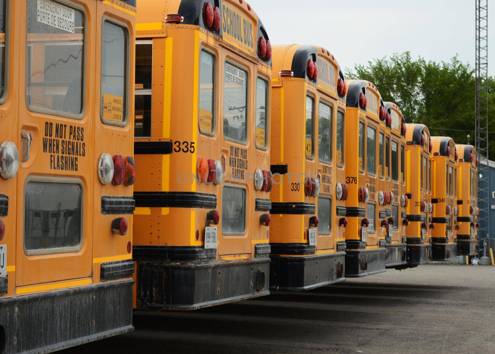 Parked School Buses by AlphaBaby