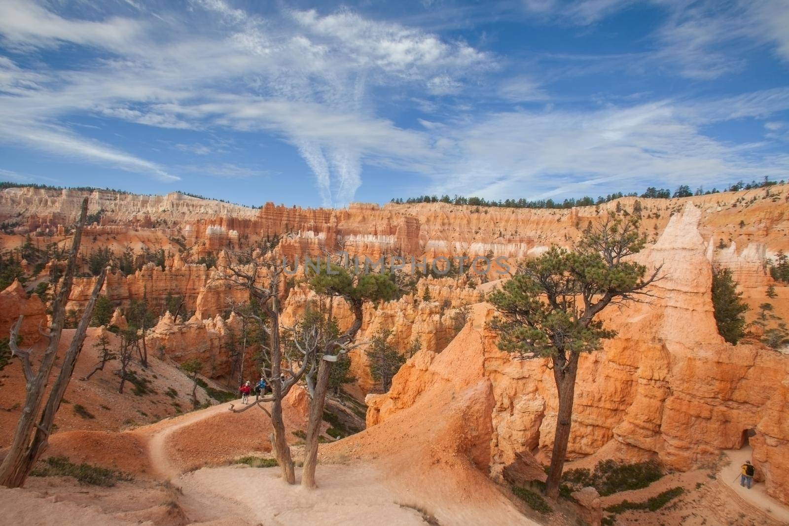 View over Bryce Canyon from the Queens Garden Trail