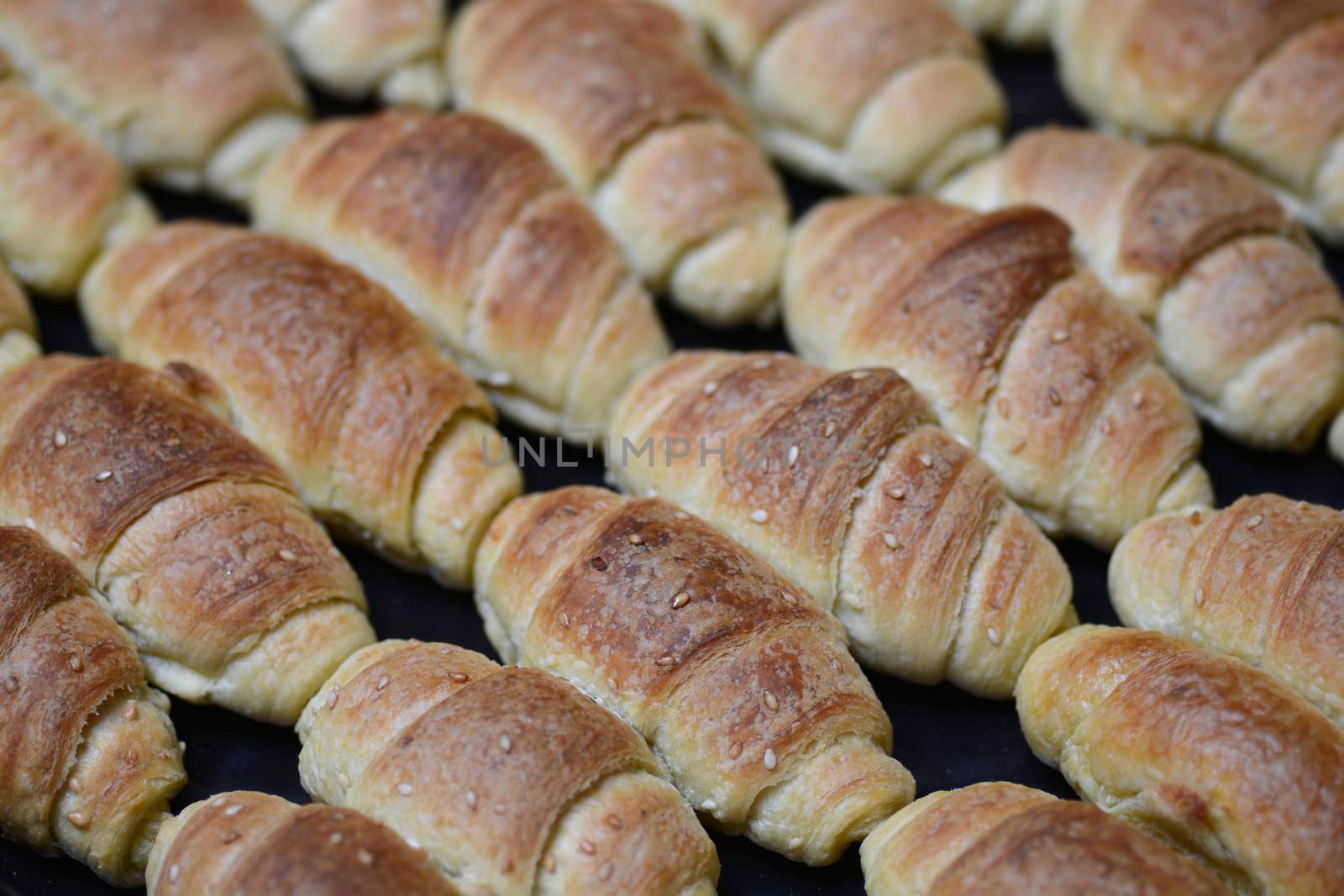 Baking tray full of fresh croissants