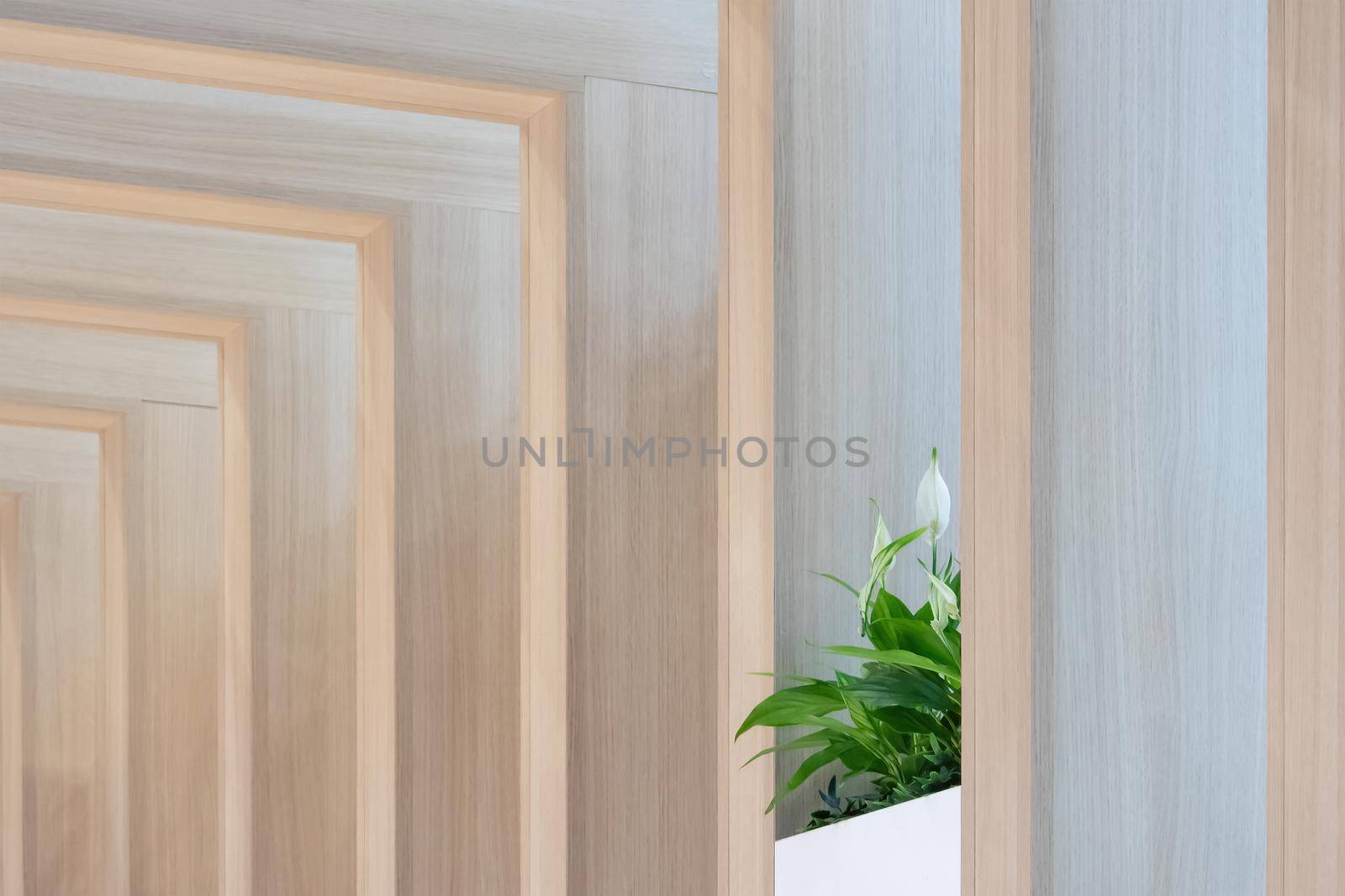 Lonely houseplant with white flowers and green leaves standing between wooden decorative structures