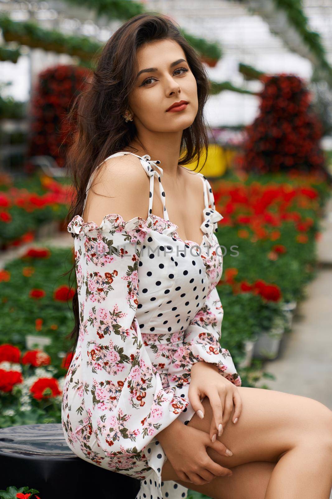 Attractive young woman in stylish summer dress posing among colorful flowers at orangery. Female model with dark curly hair sitting at looking at camera. 