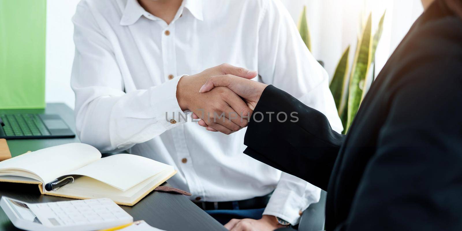 Close up of Business people shaking hands, finishing up meeting, business etiquette, congratulation, merger and acquisition concept by wichayada