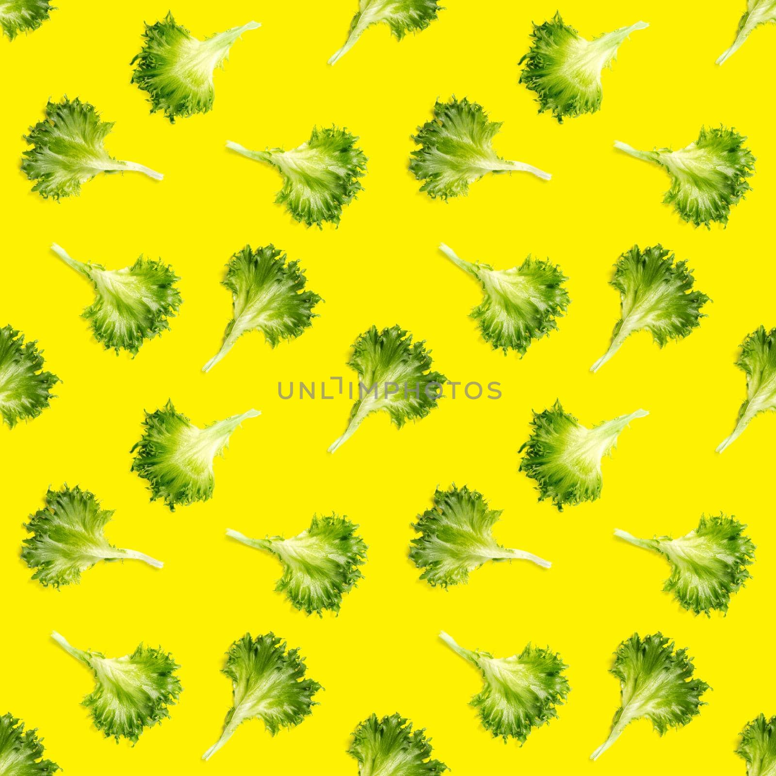 seamless pattern from lettuce green leaves salad. frillice salad isolated on yellow. iceberg salad leaf close up, modern background, flat lay. lettuce green leaf pattern