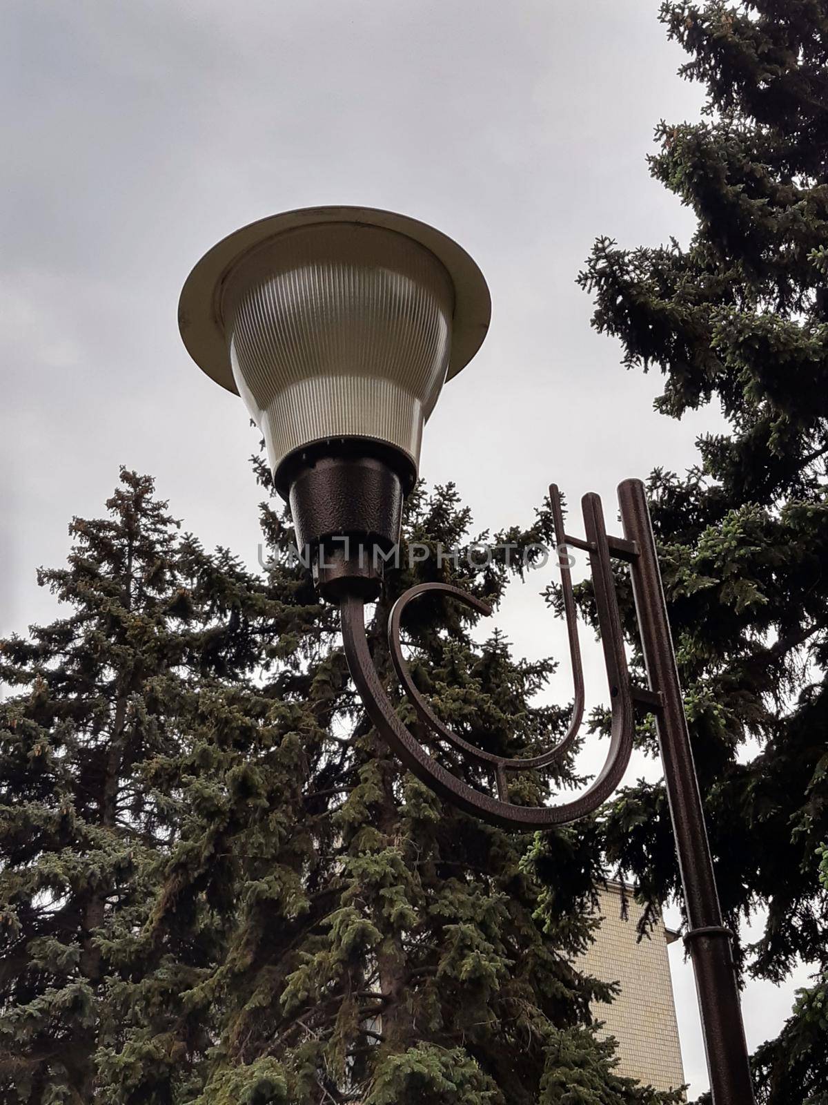 Street lamp against the background of the sky and spring firs.