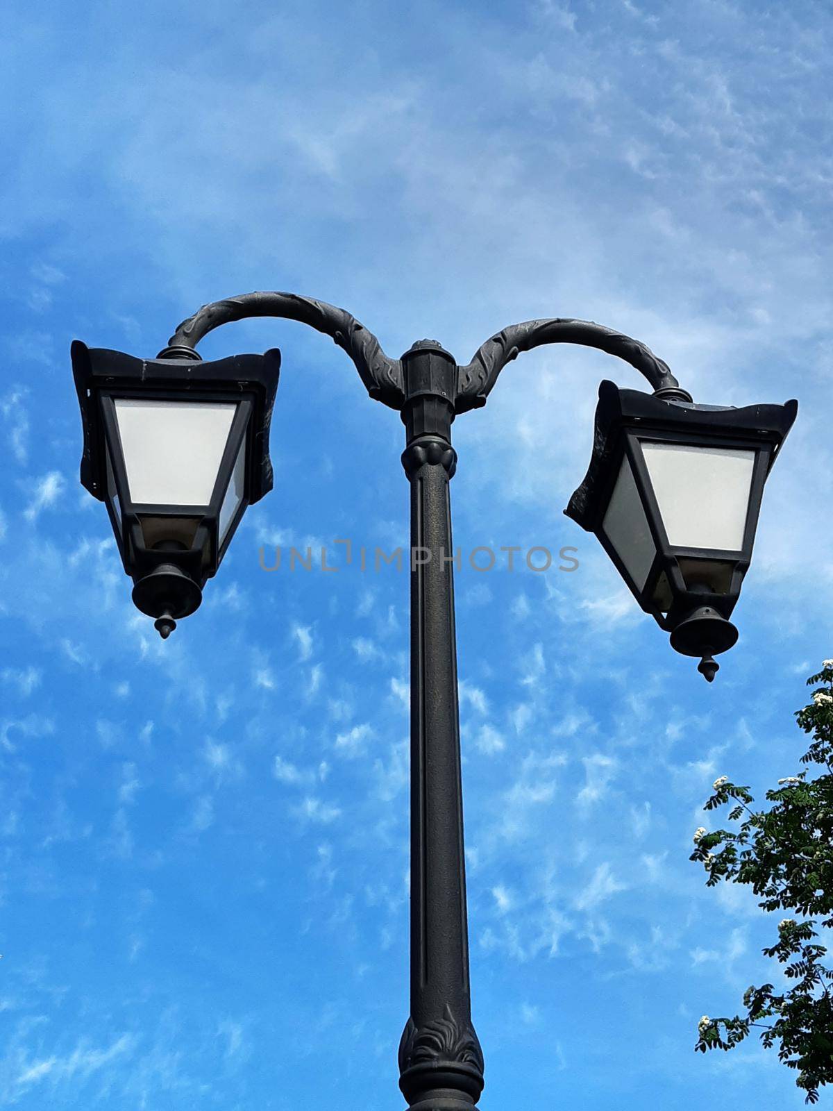 Street lamp against the background of a blossoming spring tree and blue sky.