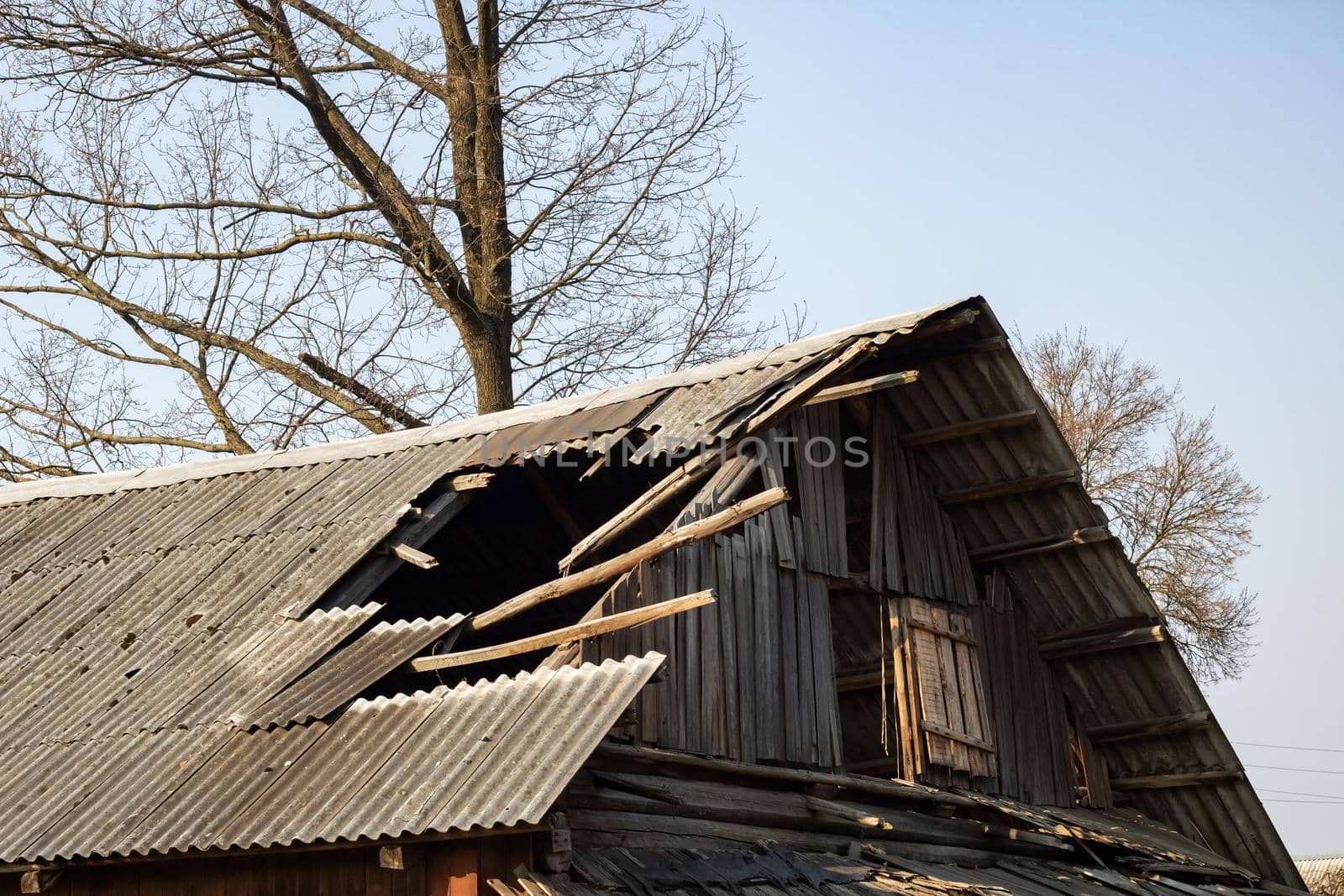 The roof of an old wooden ruined house among the bushes and grass