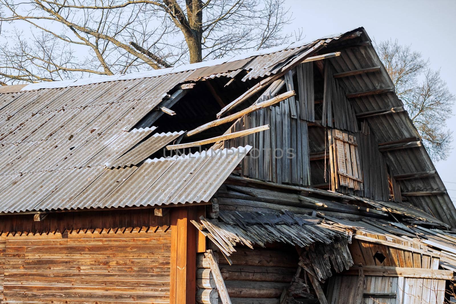 The roof of an old wooden ruined house among the bushes and grass