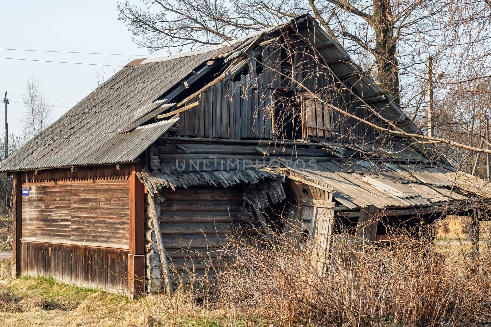 Old wooden ruined house among the bushes and grass, close up