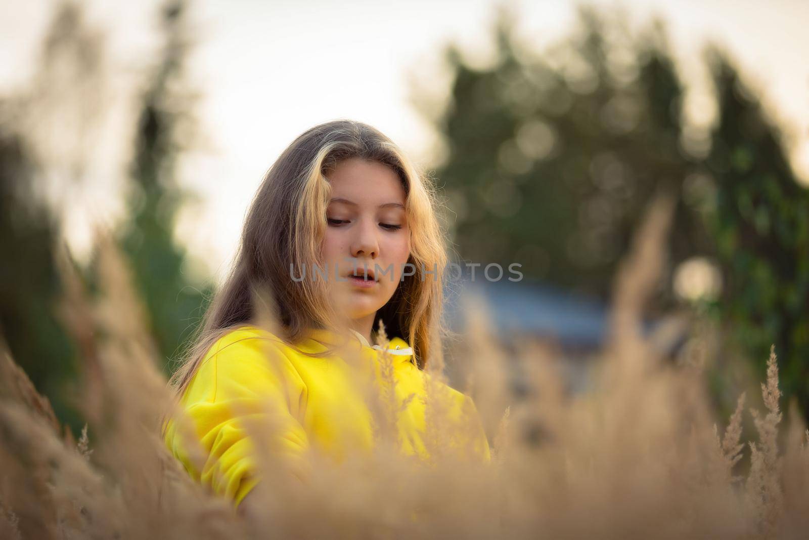 A young girl with long hair walks across a field with tall grass. Blonde hair. by Yurich32