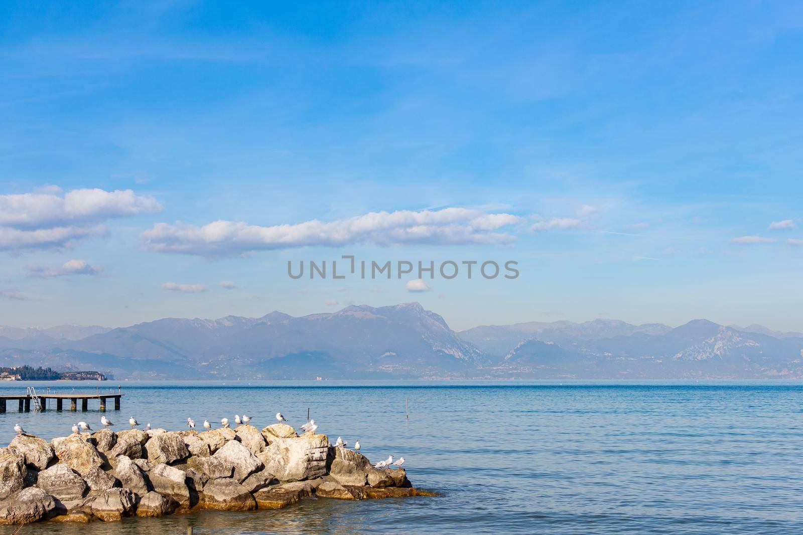 Seagulls on pebbles by the lake under a blue sky, horizontal landscape image