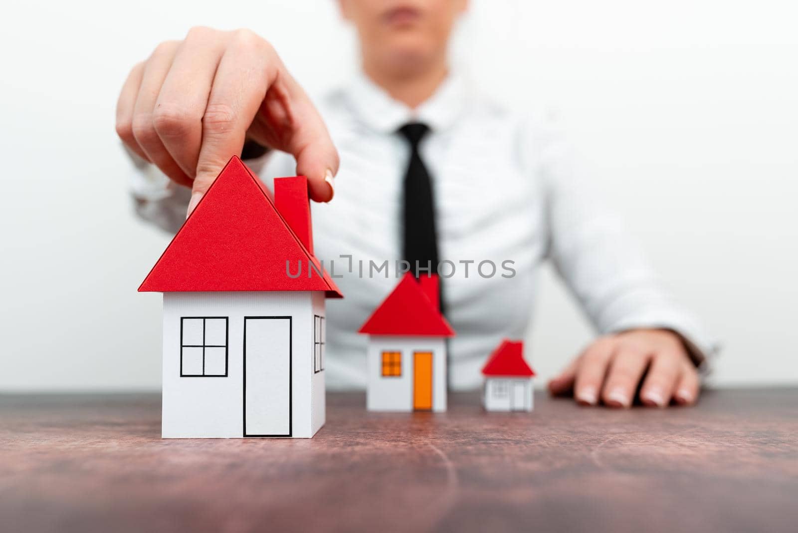 Upgrade Your House Represented By Lady In Outfit, Business Woman Presenting Plans For Home Change, Diffrent Apartment Plan Sizes Comparison, Multiple Selection Of Contracts.