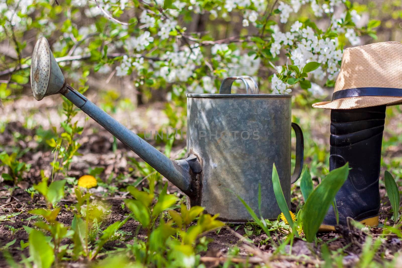 An old iron watering can, a hat, and rubber boots stand in the garden. Gardening and gardening, by Alina_Lebed
