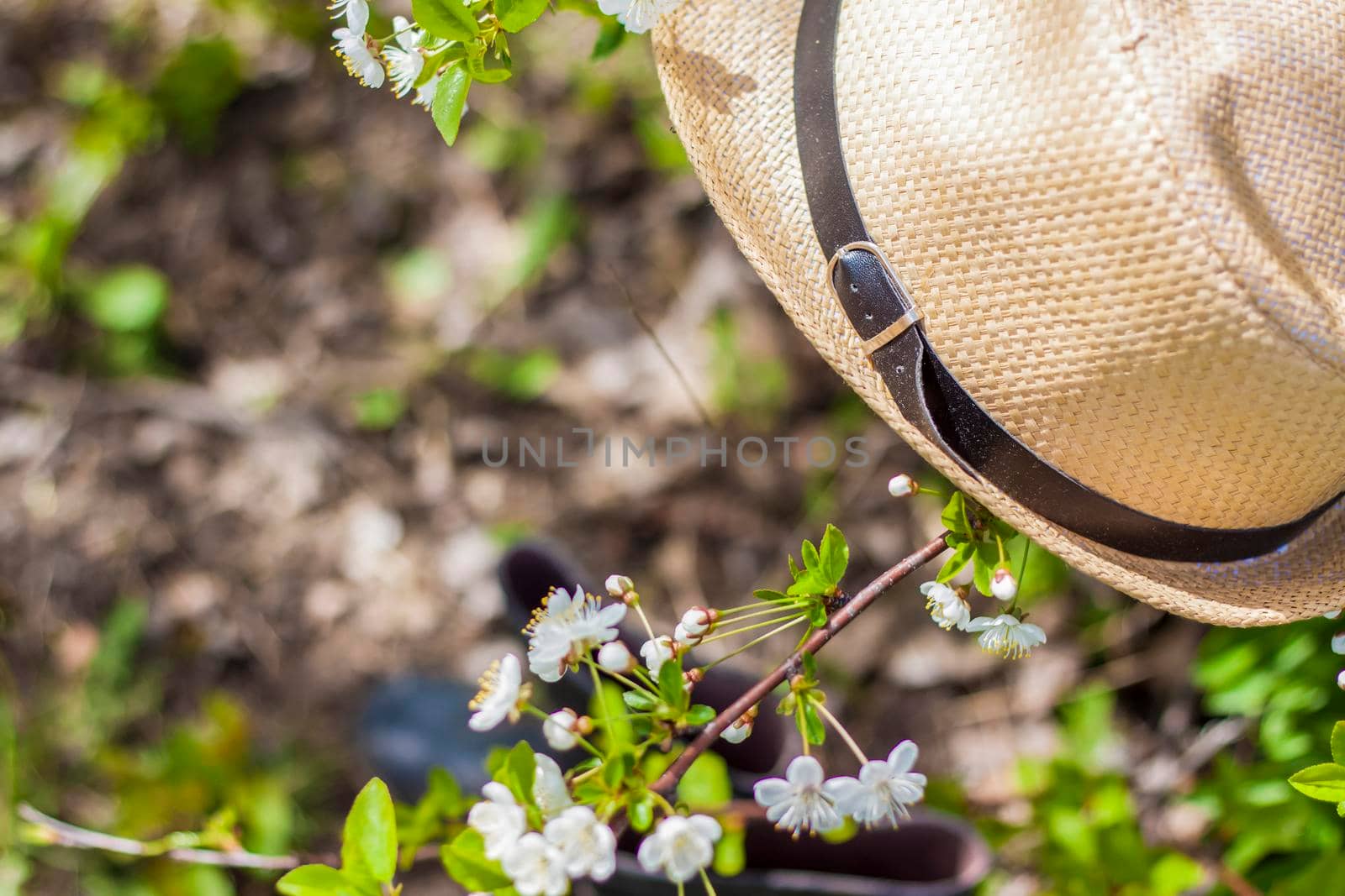 In the garden, on a tree with white cherry blossoms, there is a garden hat, and under it are boots. Gardening and gardening, Active recreation in the country